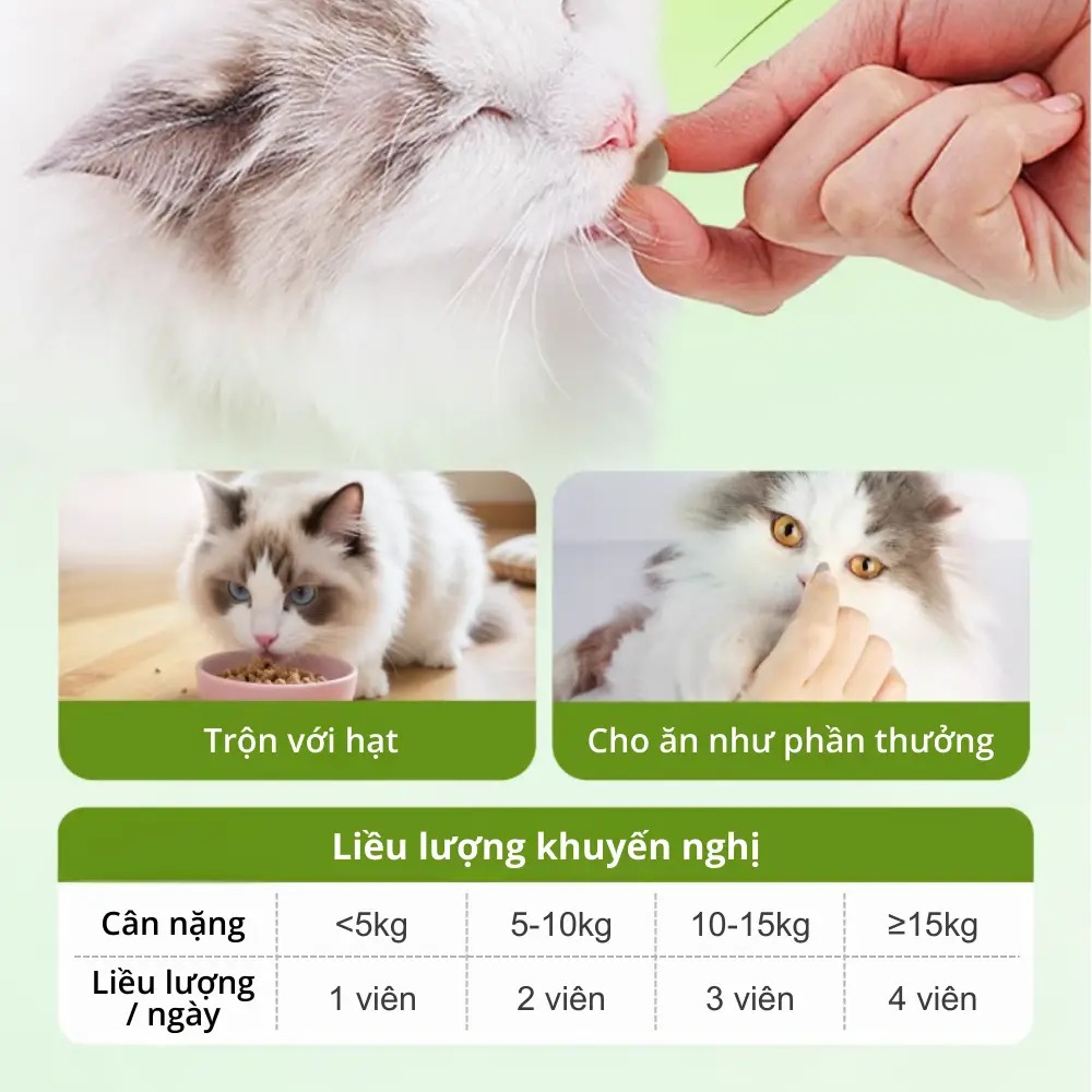 Hướng dẫn sử dụng