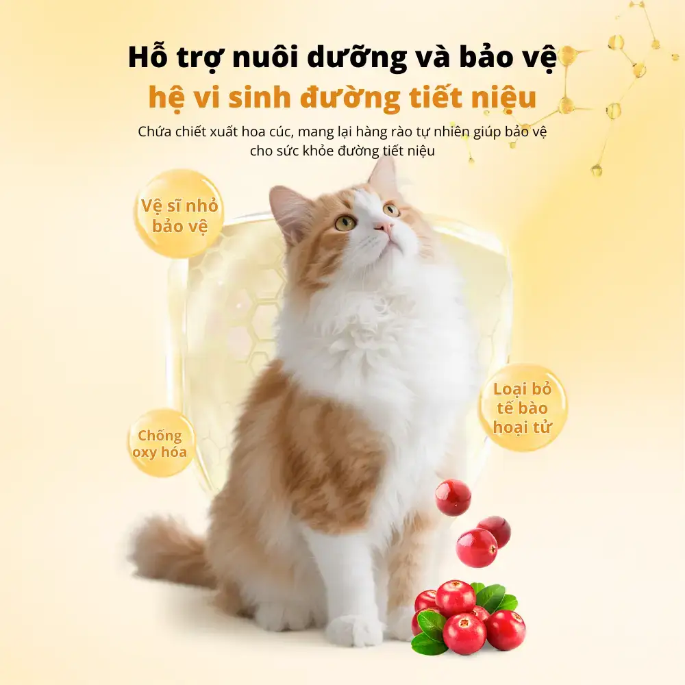 Kiềm hoá và bảo vệ tiết niệu