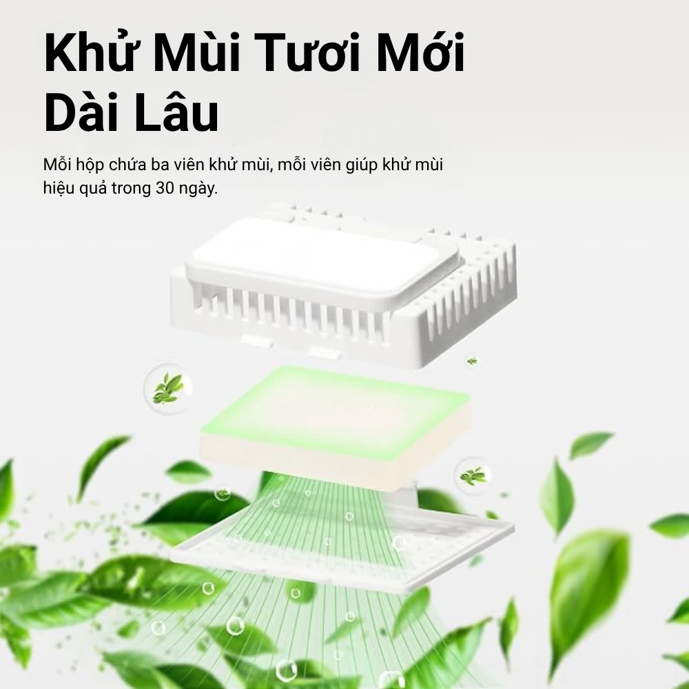 Khử Mùi & Tạo Cảm Giác Tươi Mát Lâu Dài