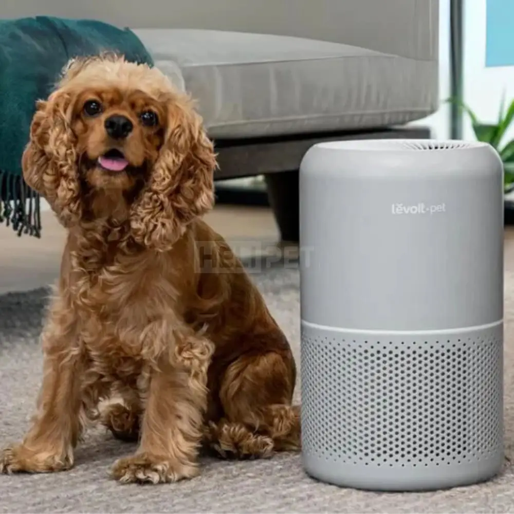 Máy lọc không khí Levoit Core P350