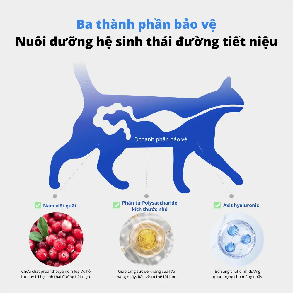Thành phần lành tính, an toàn