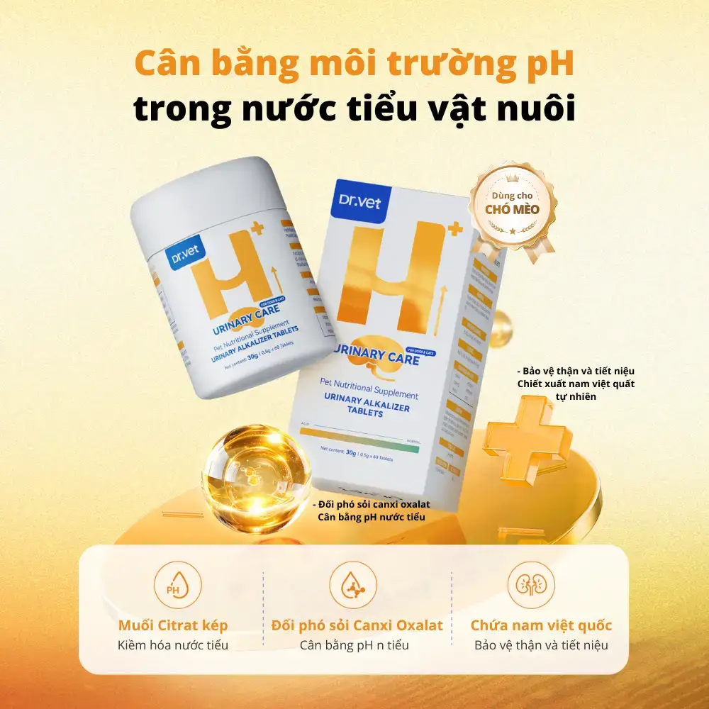 Viên kiềm hóa tiết niệu cho chó mèo Dr.Vet - vàng cam