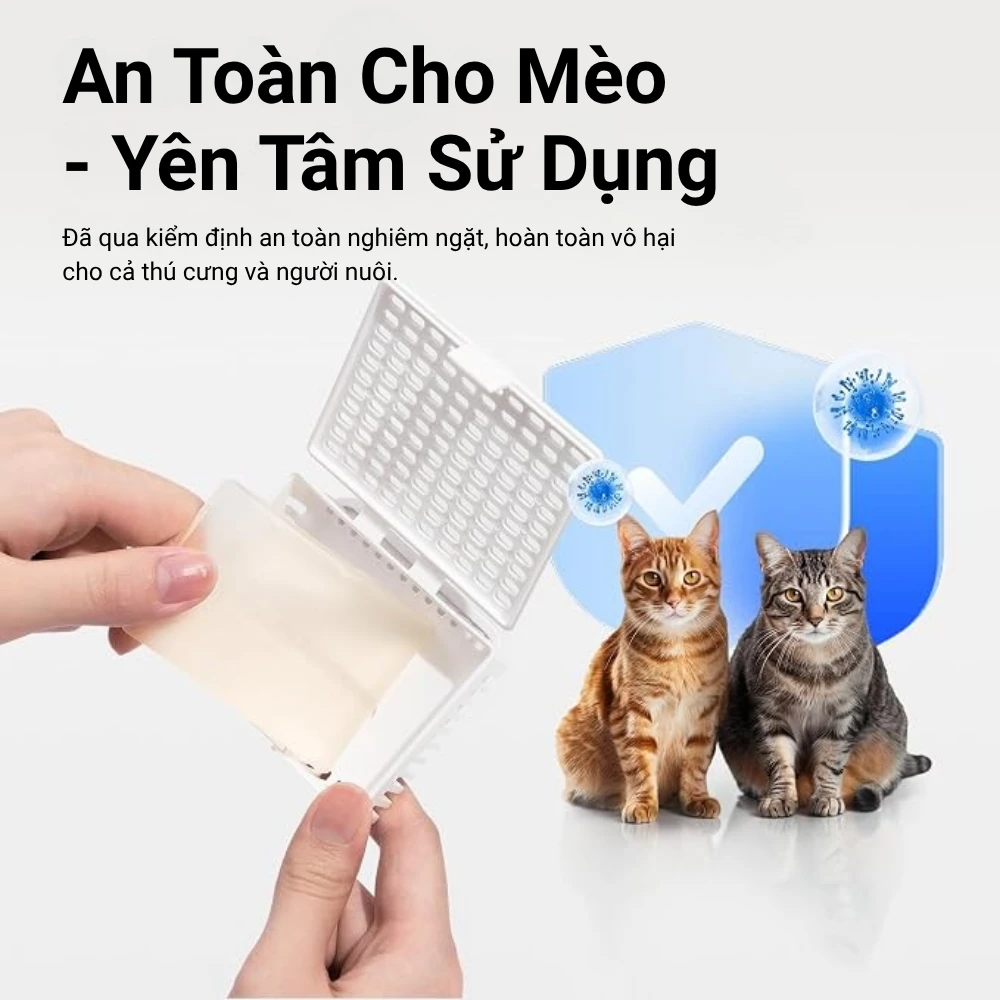An Toàn Cho Mèo