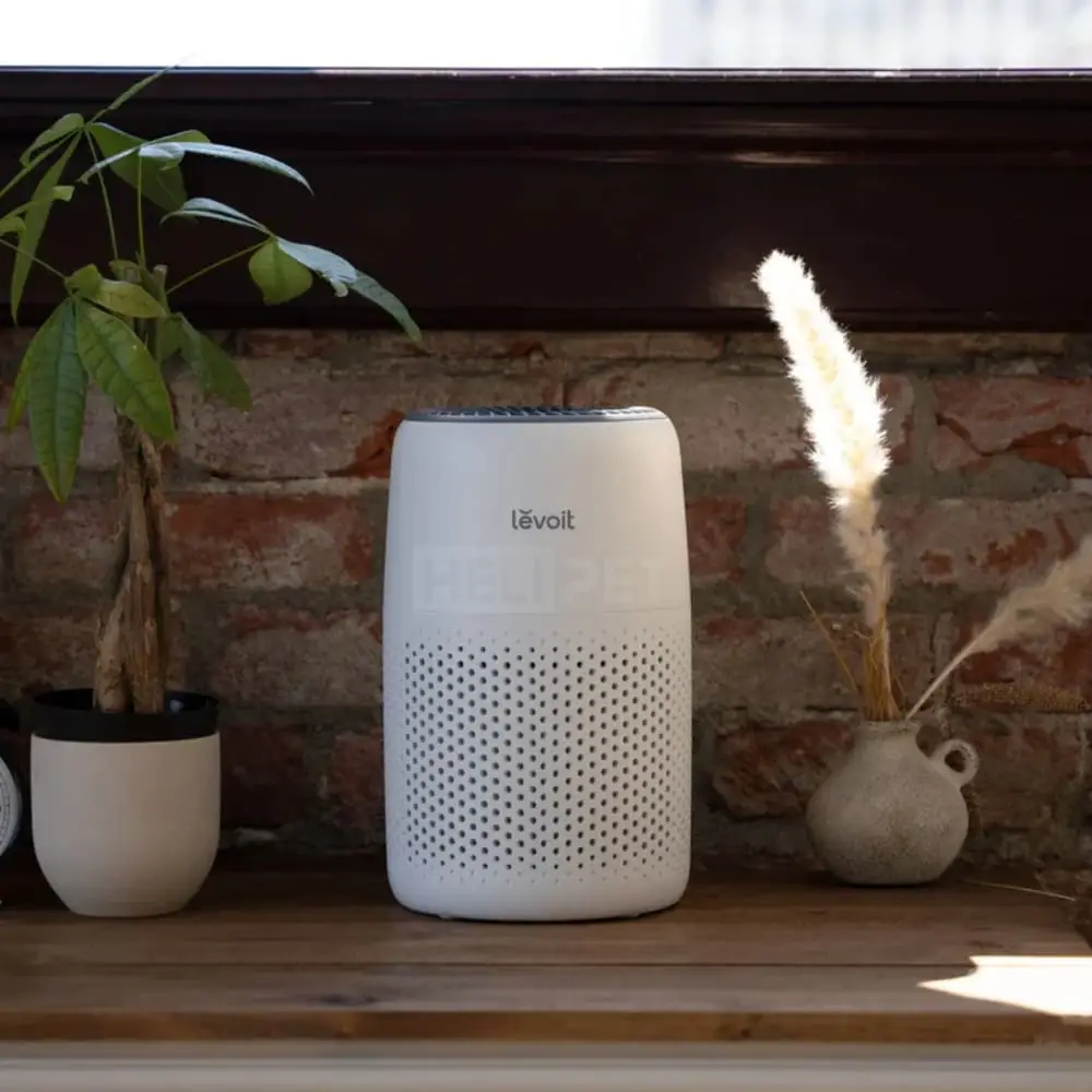 Máy lọc không khí Levoit Core Mini