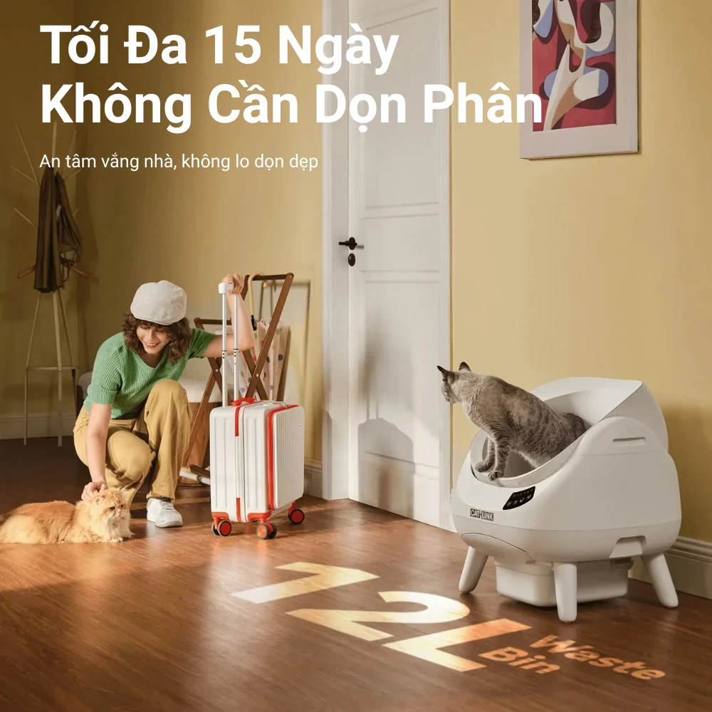 15 ngày không cần dọn dẹp