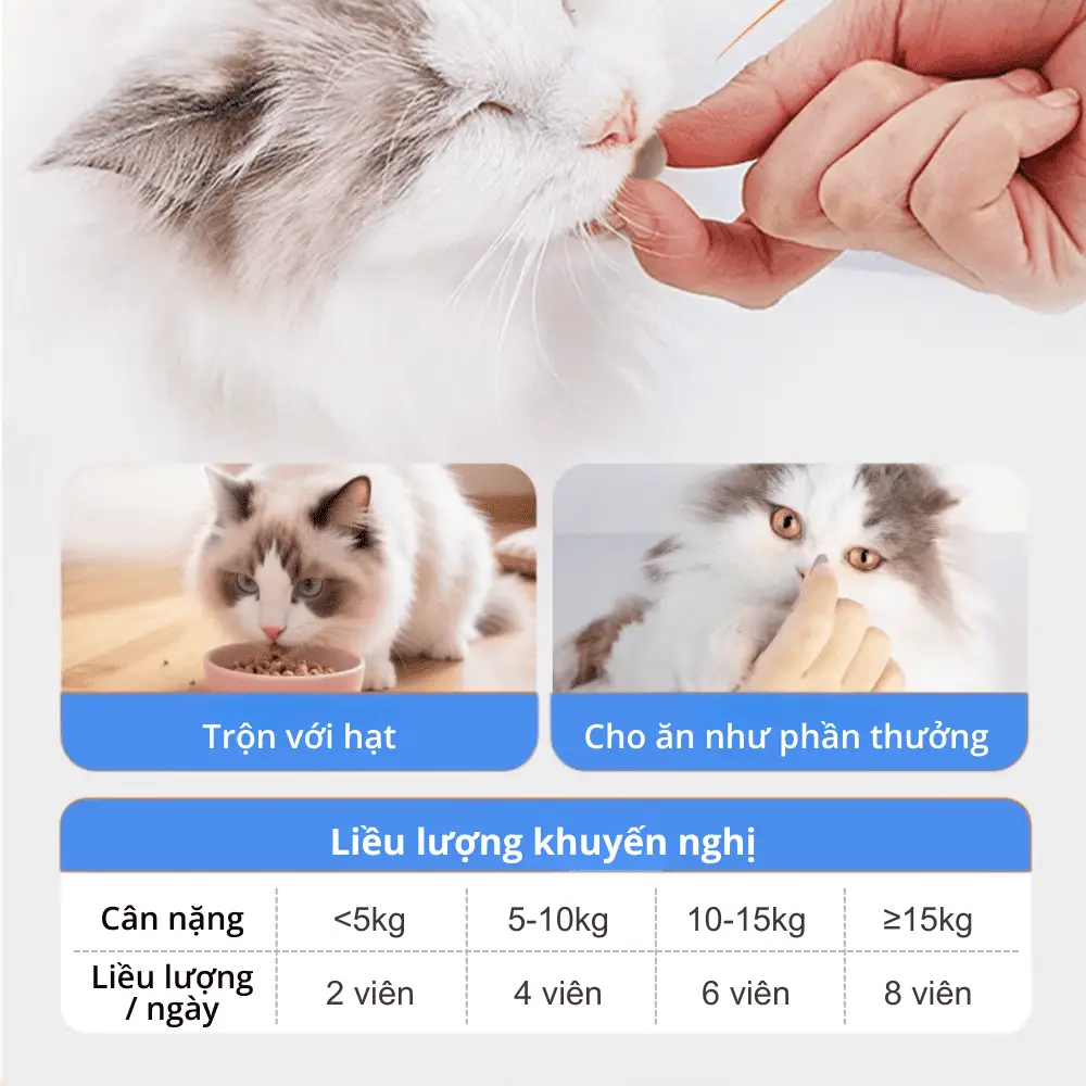 Hướng dẫn sử dụng chi tiết