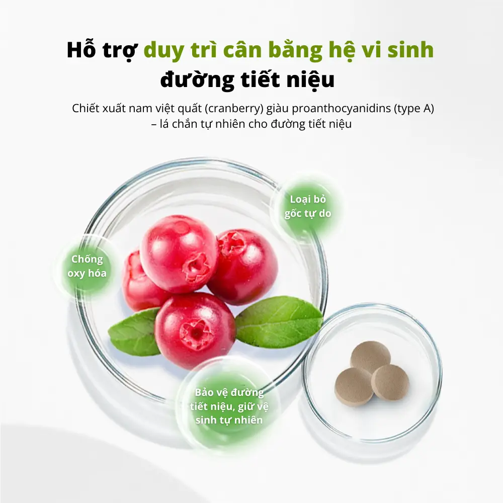 viên hỗ trợ sức khỏe tiết niệu Dr.Vet - xanh lá