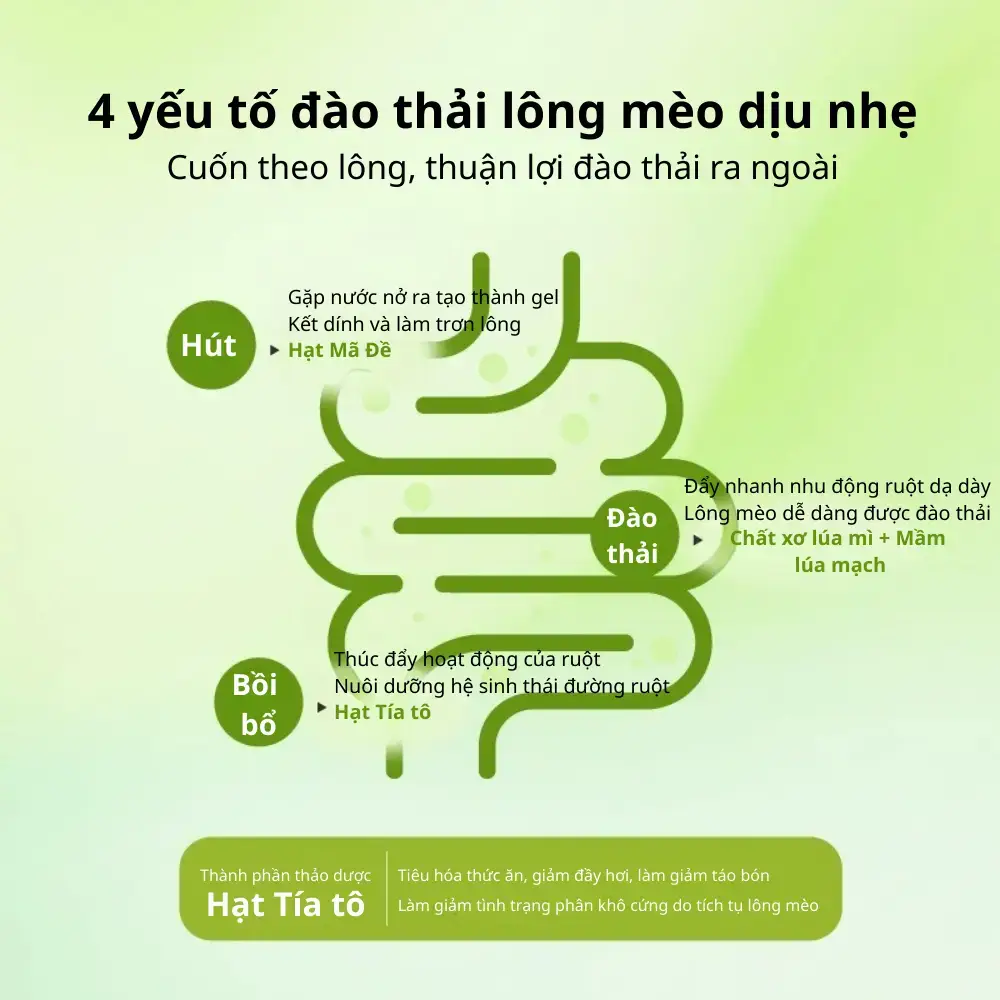 4 yếu tố hỗ trợ đào thải